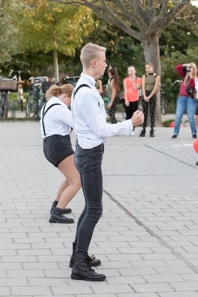 Schoolplein Festival A556.jpg